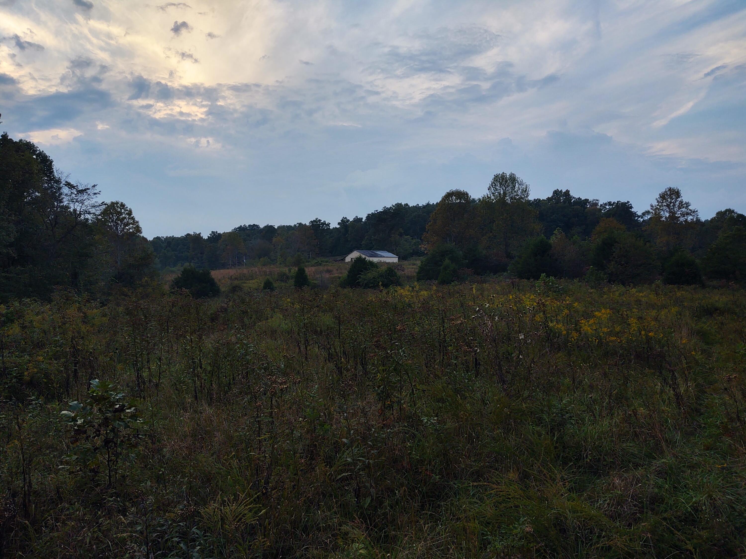 1730 Pine Ridge Road Winchester, KY 40391 - Photo 14 of 23 IMG_20211002_184822765_HDR