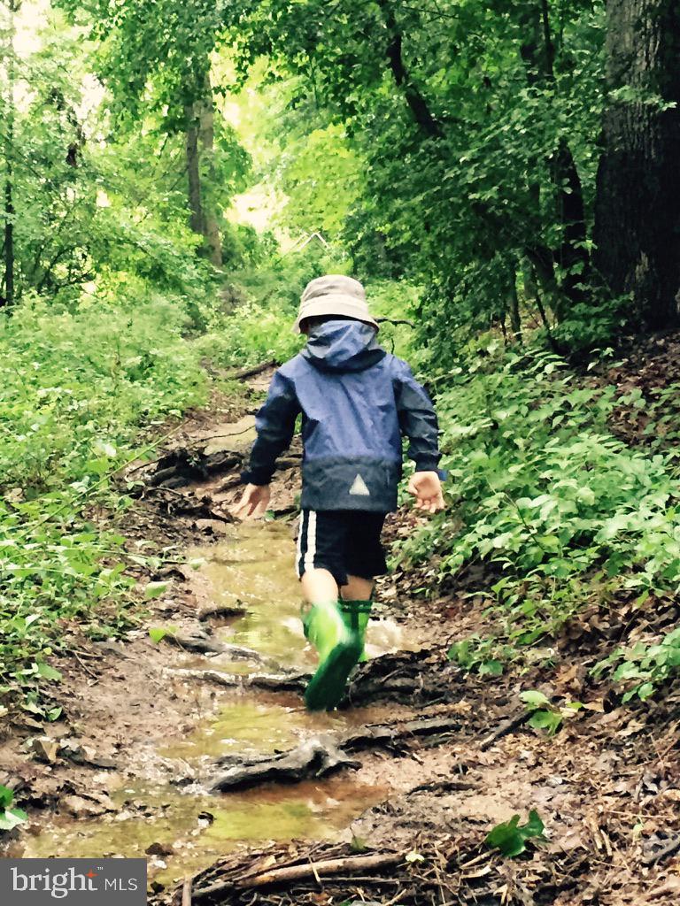 2007 Spring Branch Drive Vienna, VA 22181 - Photo 84 of 99 Clarks Crossing Park