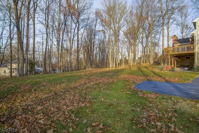 a view of yard with tree