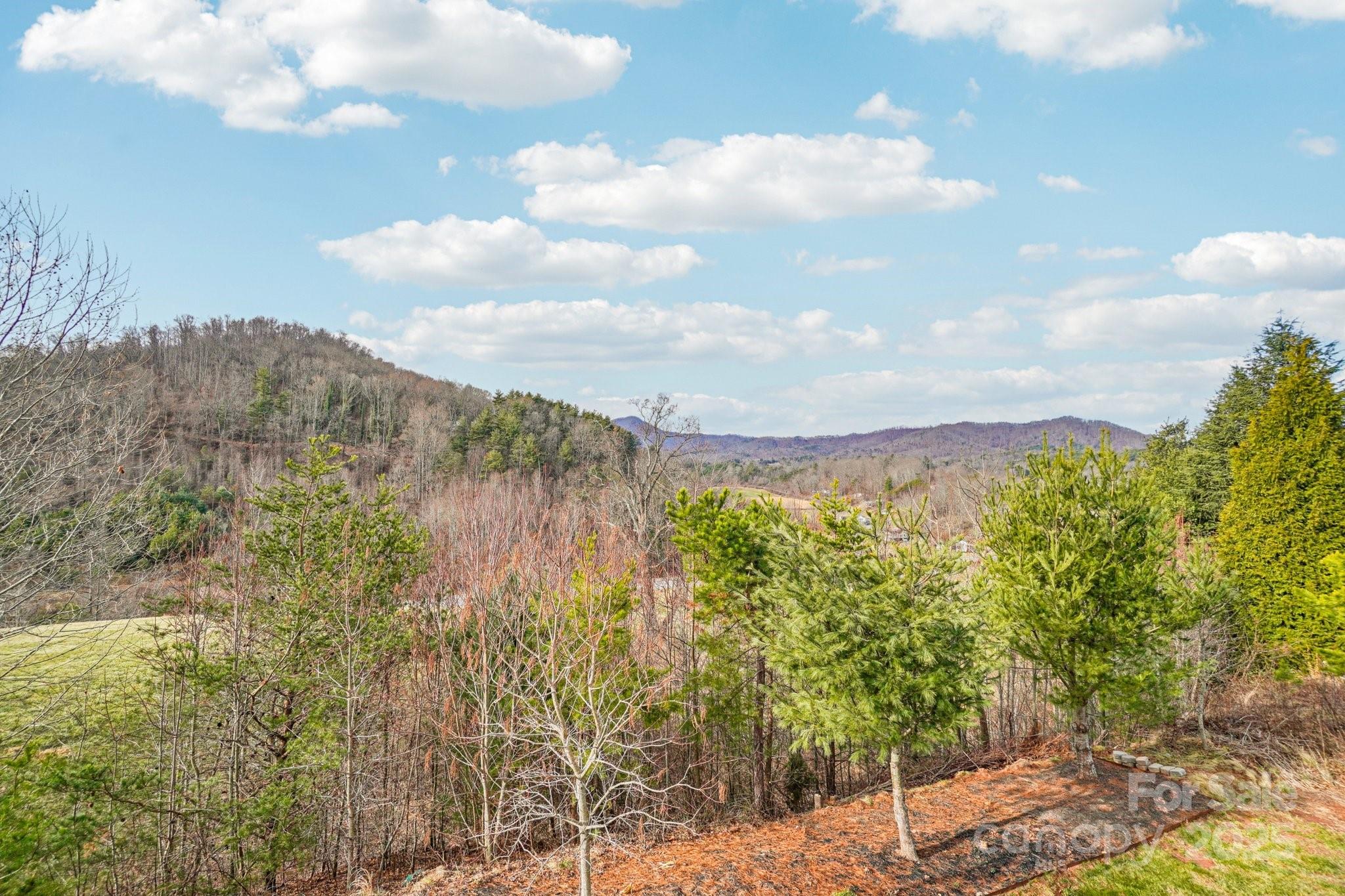14 Rose Creek Road Leicester, NC 28748 - Photo 28 of 34 a view of a city