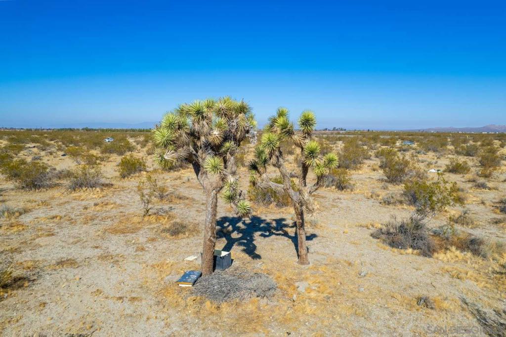 0 Tbd Littlerock, CA 93543 - Photo 21 of 44