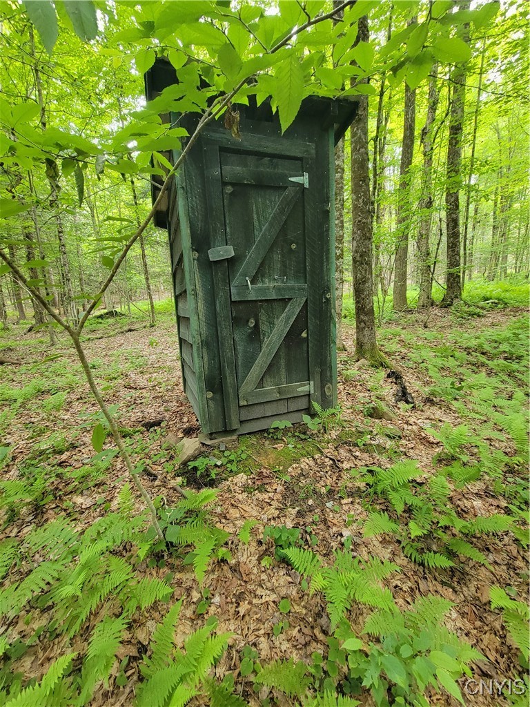 Keppy Carr Road Williamstown, NY 13493 - Photo 7 of 13