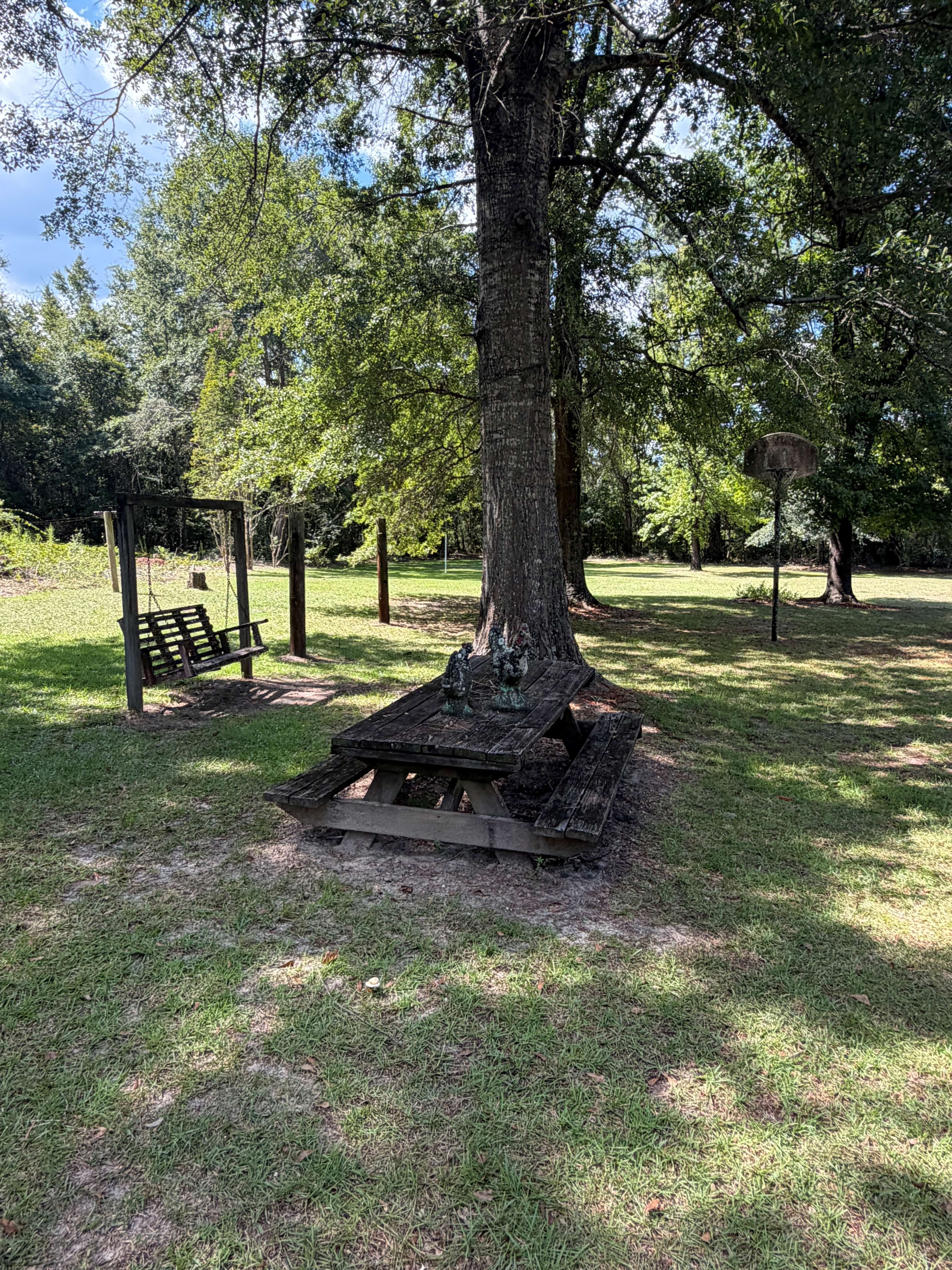 557 Poole Road Castleberry, AL 36432 - Photo 11 of 30 Gallery Image 11