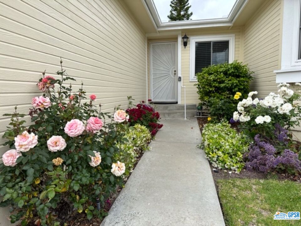 3522 Amber Lane Oceanside, CA 92056 - Photo 4 of 33 a bunch of flowers in front of the house
