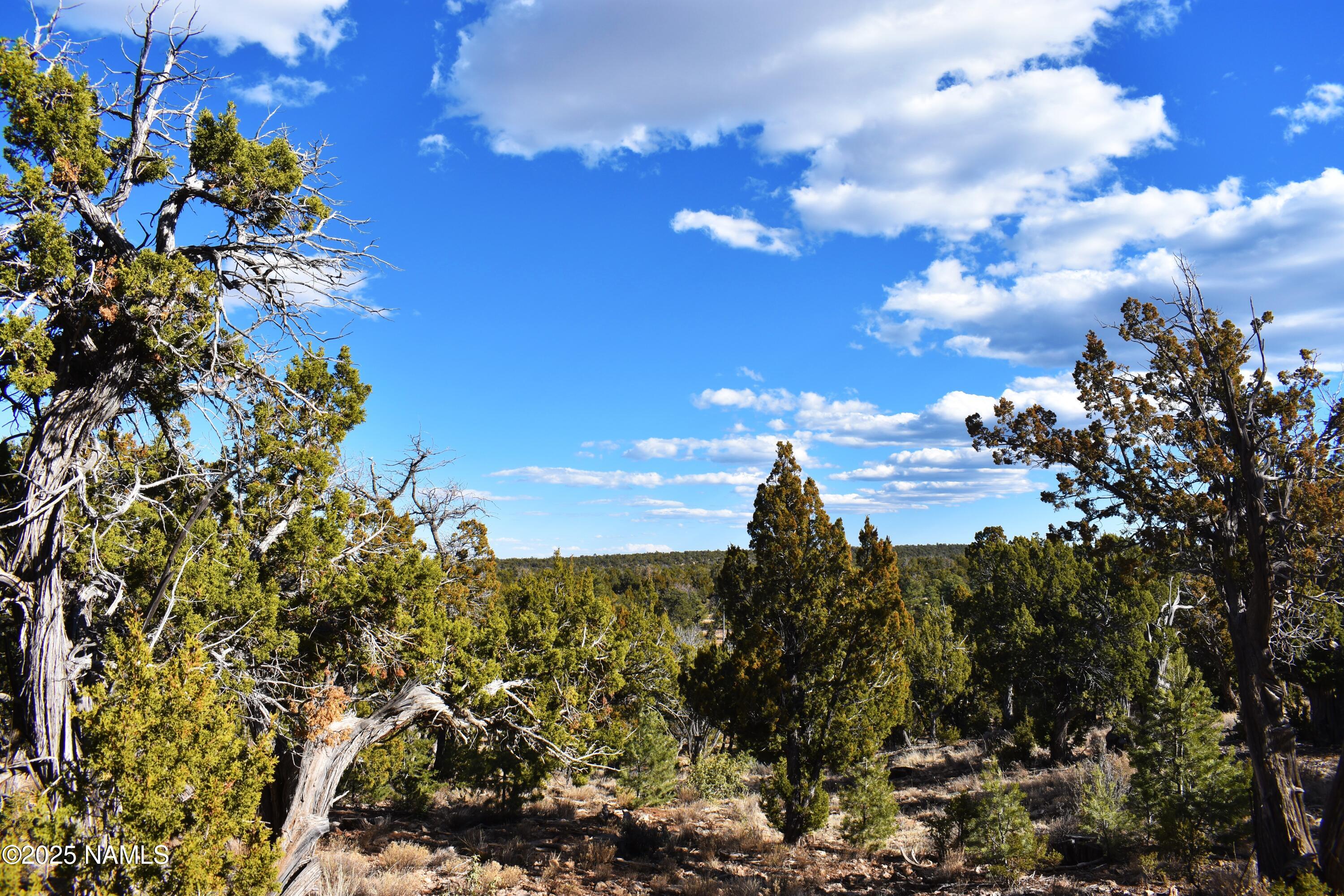 4367 Sunset Ridge Loop Happy Jack, AZ 86024 - Photo 3 of 17 a view of a flower