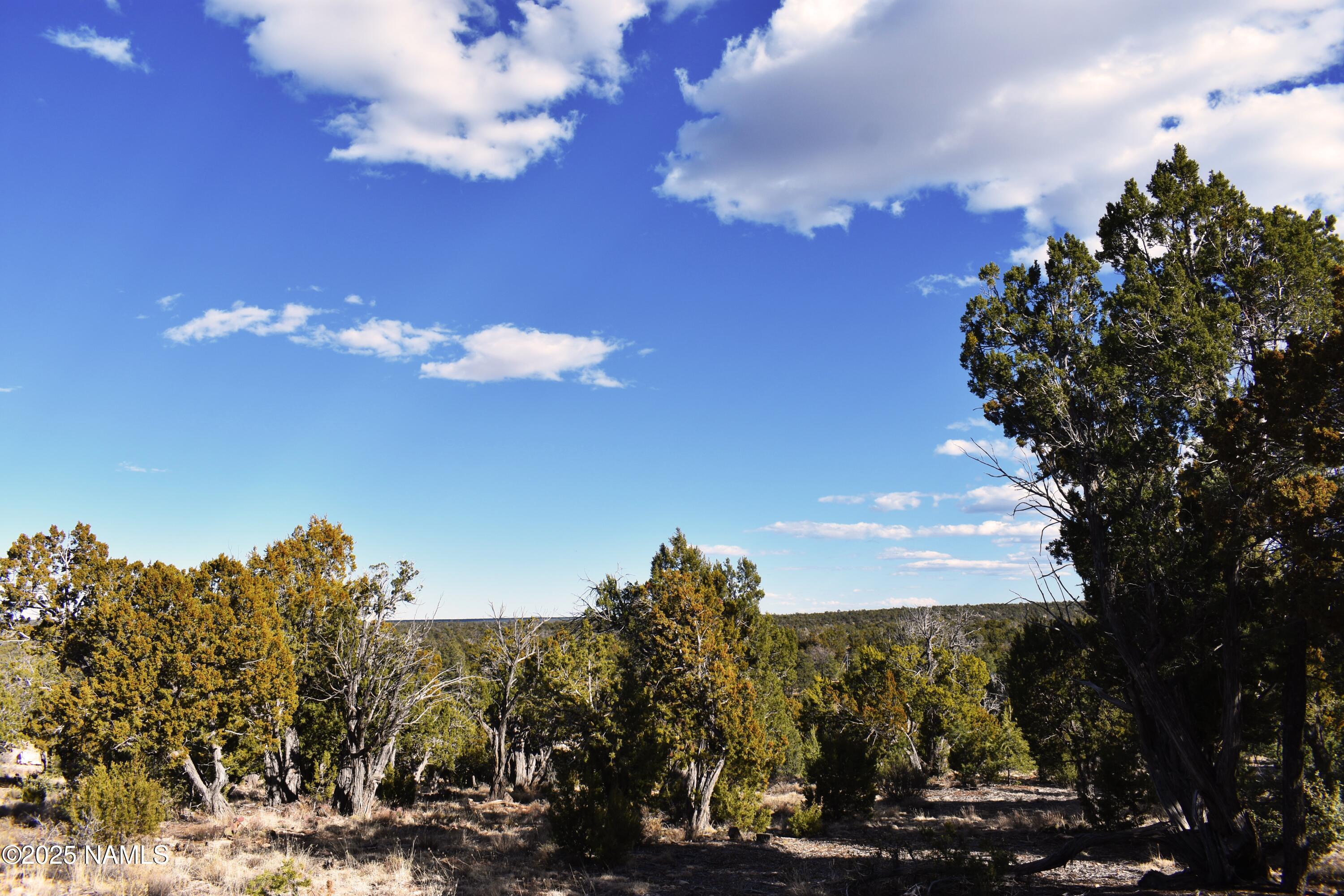 4367 Sunset Ridge Loop Happy Jack, AZ 86024 - Photo 6 of 17 a view of a city