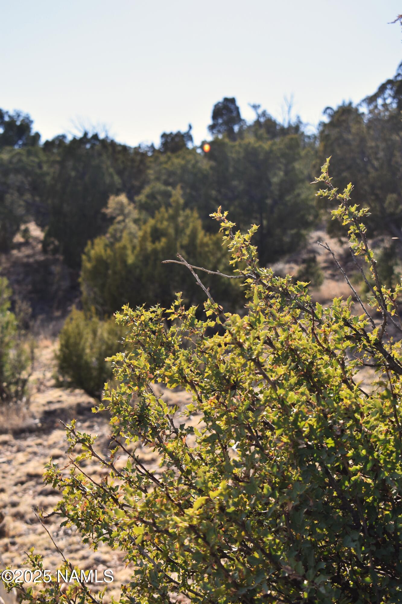 4367 Sunset Ridge Loop Happy Jack, AZ 86024 - Photo 8 of 17 a view of a town with mountains in the background