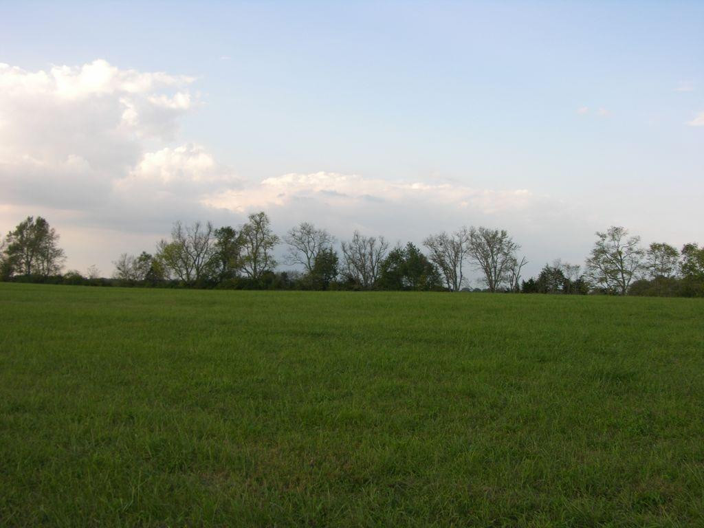 6415 Combs Ferry Road Winchester, KY 40391 - Photo 11 of 17 Photo 11