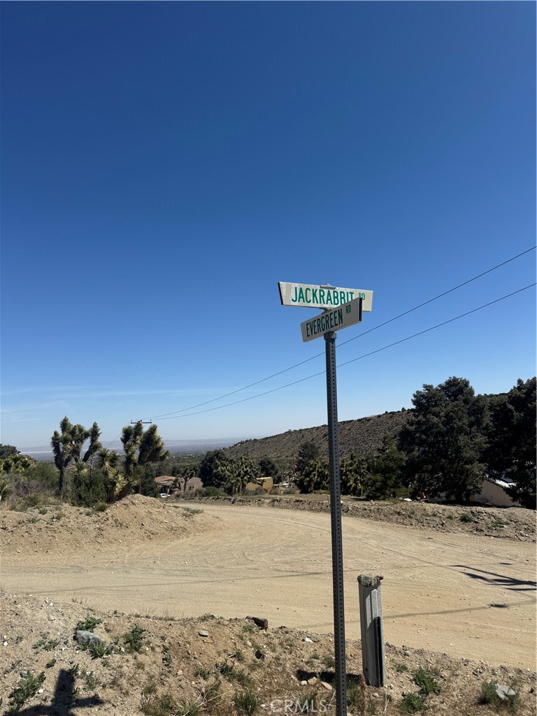 41112 Jack Rabbit Road Pinon Hills, CA 92372 - Photo 2 of 6 a street sign on a beach with large trees