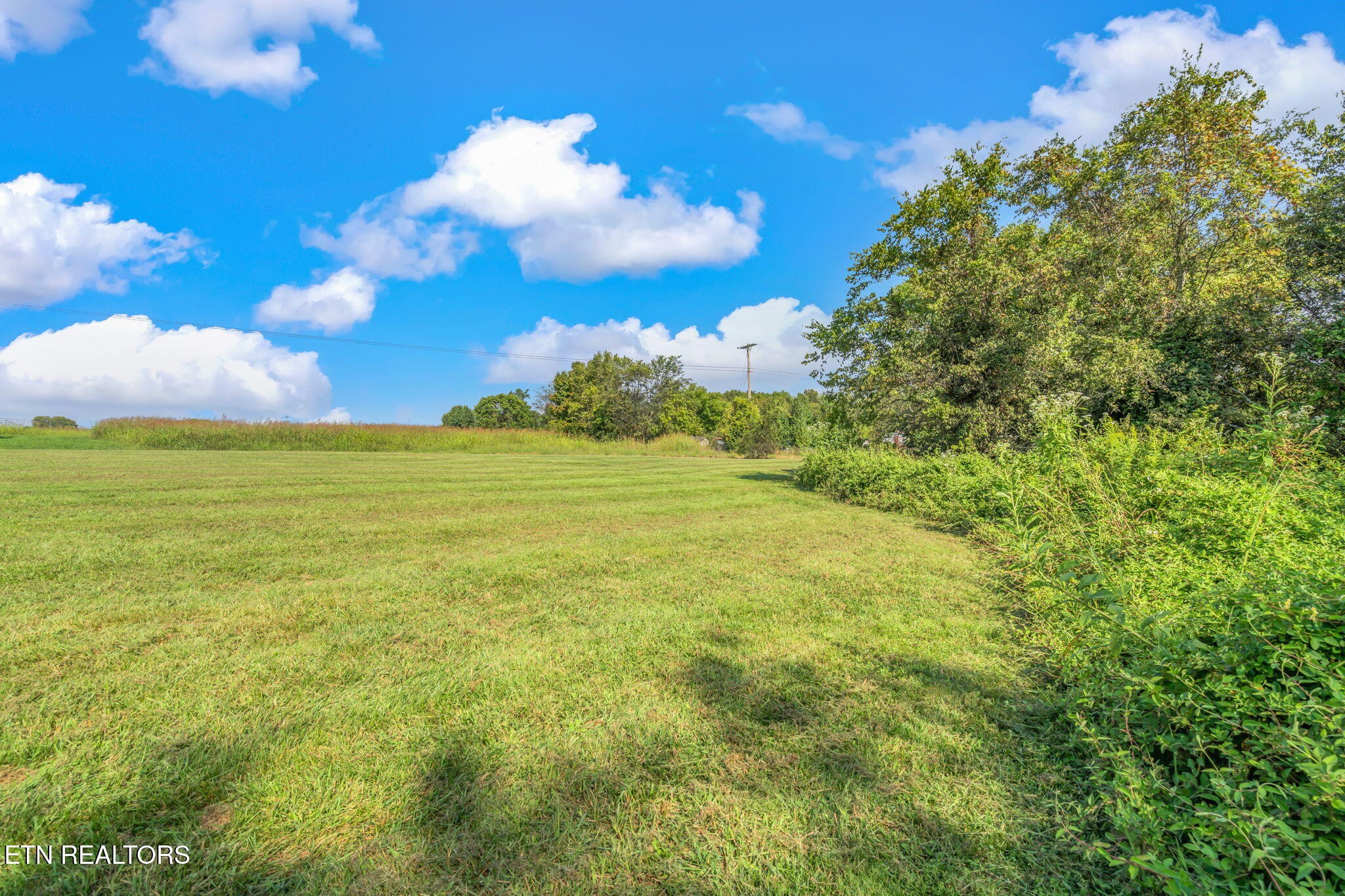 530 Farm Loop Road New Market, TN 37820 - Photo 40 of 43