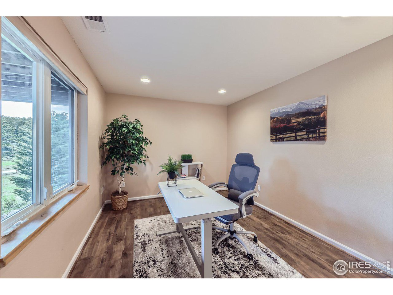 641 Ranch Road Ward, CO 80481 - Photo 20 of 40 a living room with furniture and a potted plant