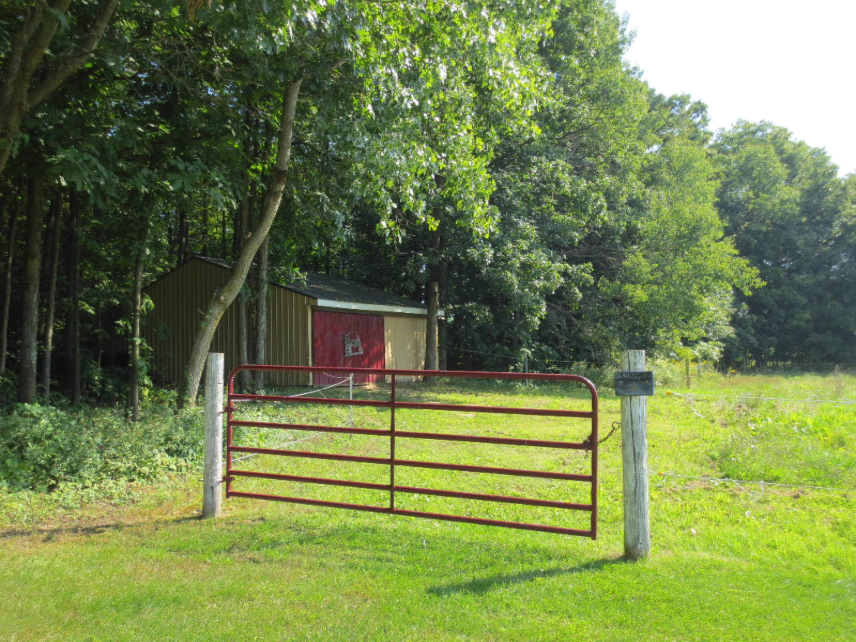 4455 Bartonville Road Belding, MI 48809 - Photo 60 of 69 IMG_1867