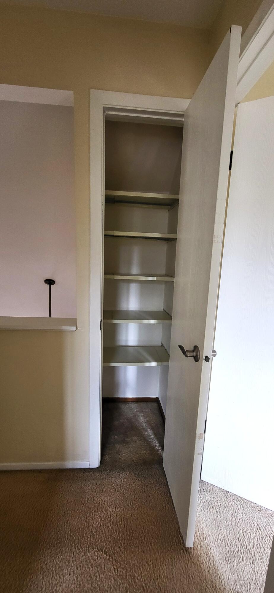 264 Bristol Way Bushkill, PA 18324 - Photo 19 of 24 a view of walk in closet with empty racks