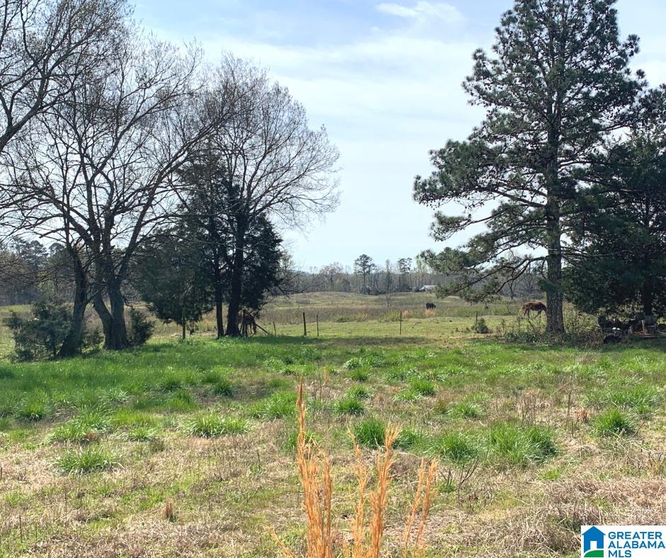 352 Daniel Road, Unit 97 17 ACRES Ohatchee, AL 36271 - Photo 17 of 17