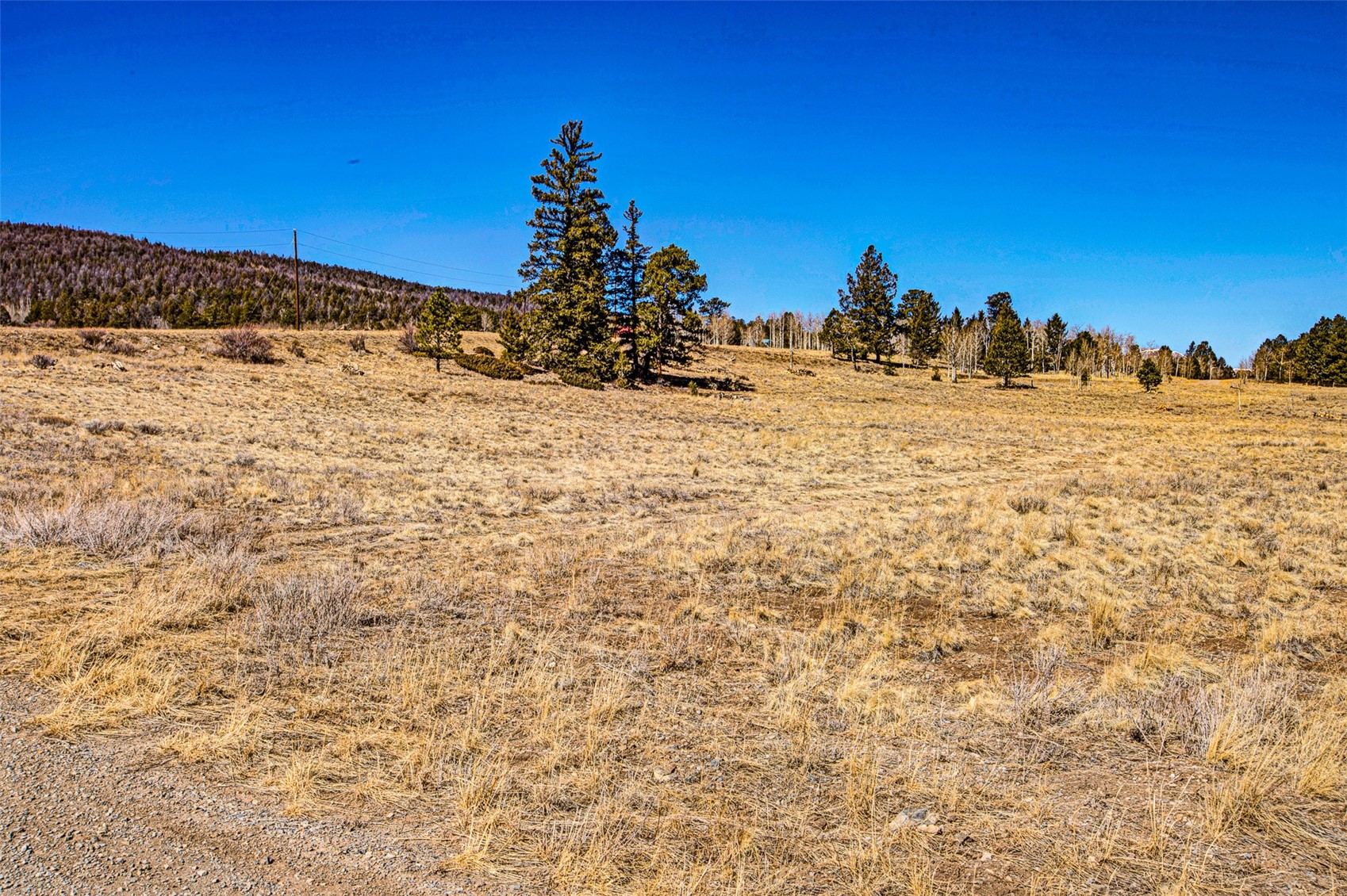 1250 Kaufman Road Hartsel, CO 80449 - Photo 12 of 25 a view of a snow on the beach