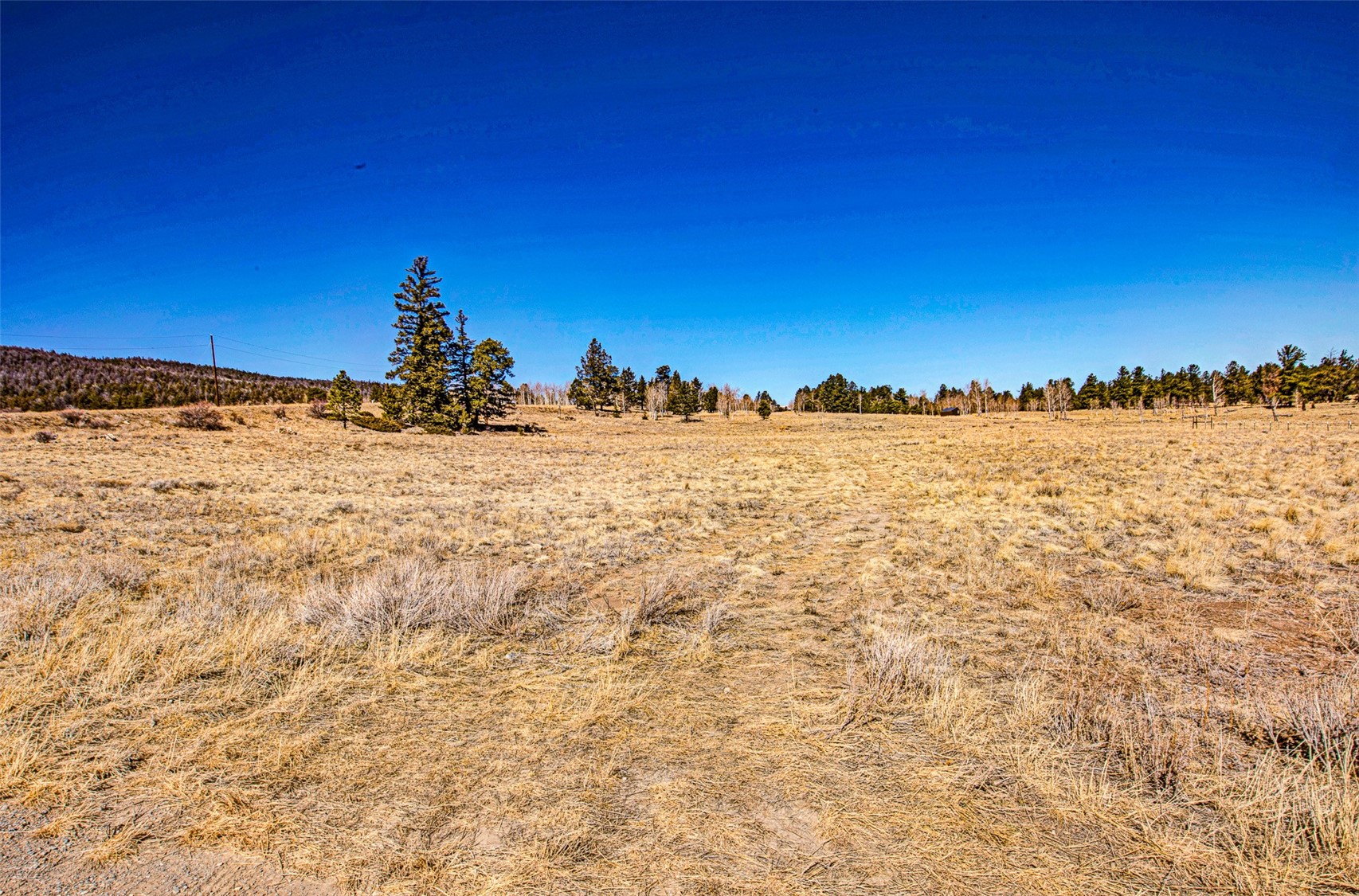 1250 Kaufman Road Hartsel, CO 80449 - Photo 14 of 25 a view of beach and ocean