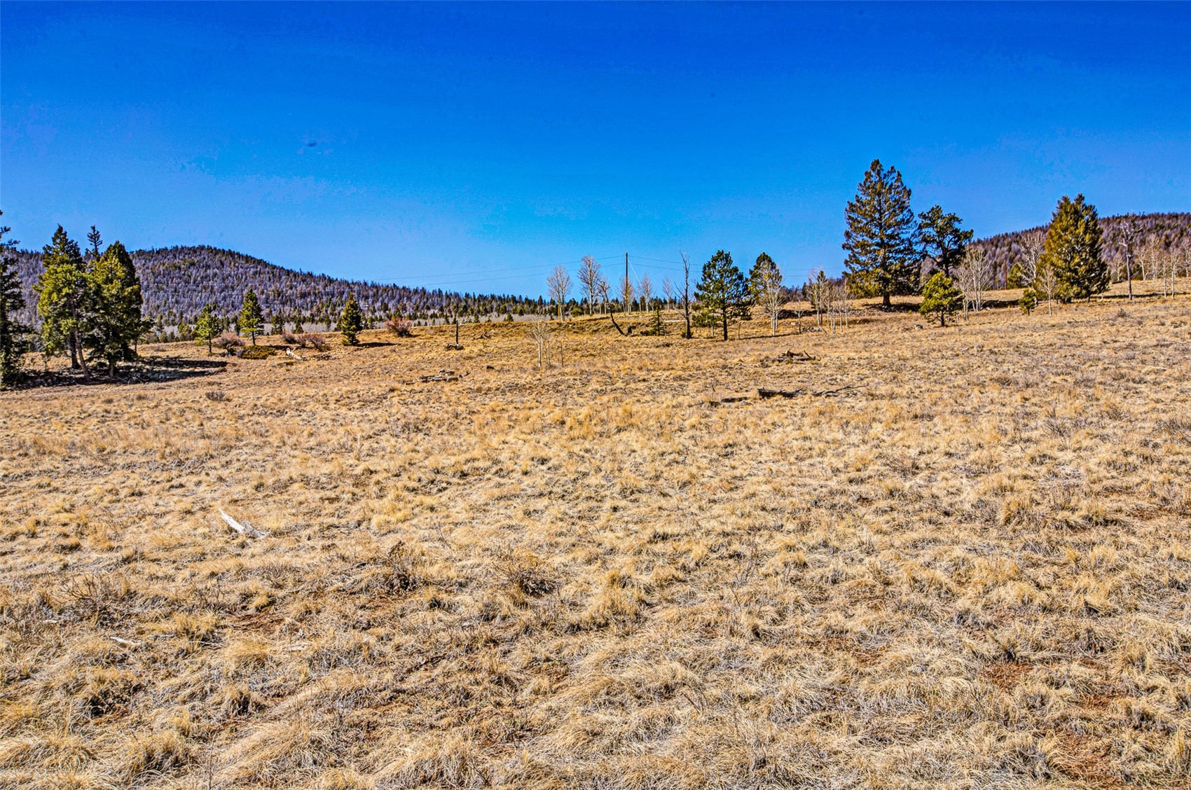 1250 Kaufman Road Hartsel, CO 80449 - Photo 18 of 25 a view of a sky