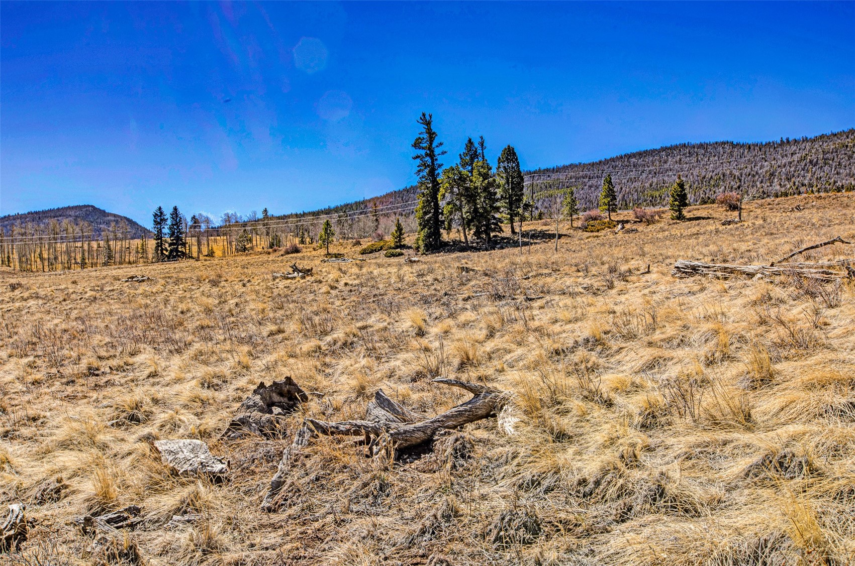 1250 Kaufman Road Hartsel, CO 80449 - Photo 19 of 25 a view of a dry yard with wooden fence