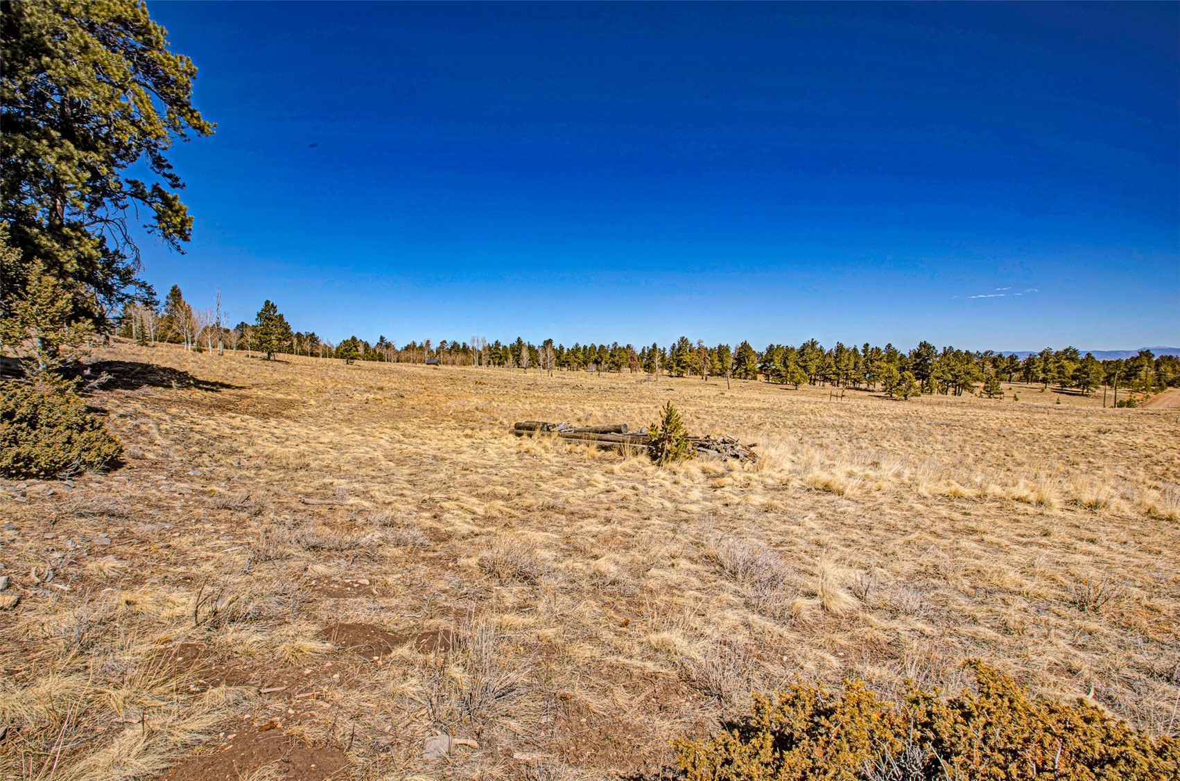 1250 Kaufman Road Hartsel, CO 80449 - Photo 4 of 25