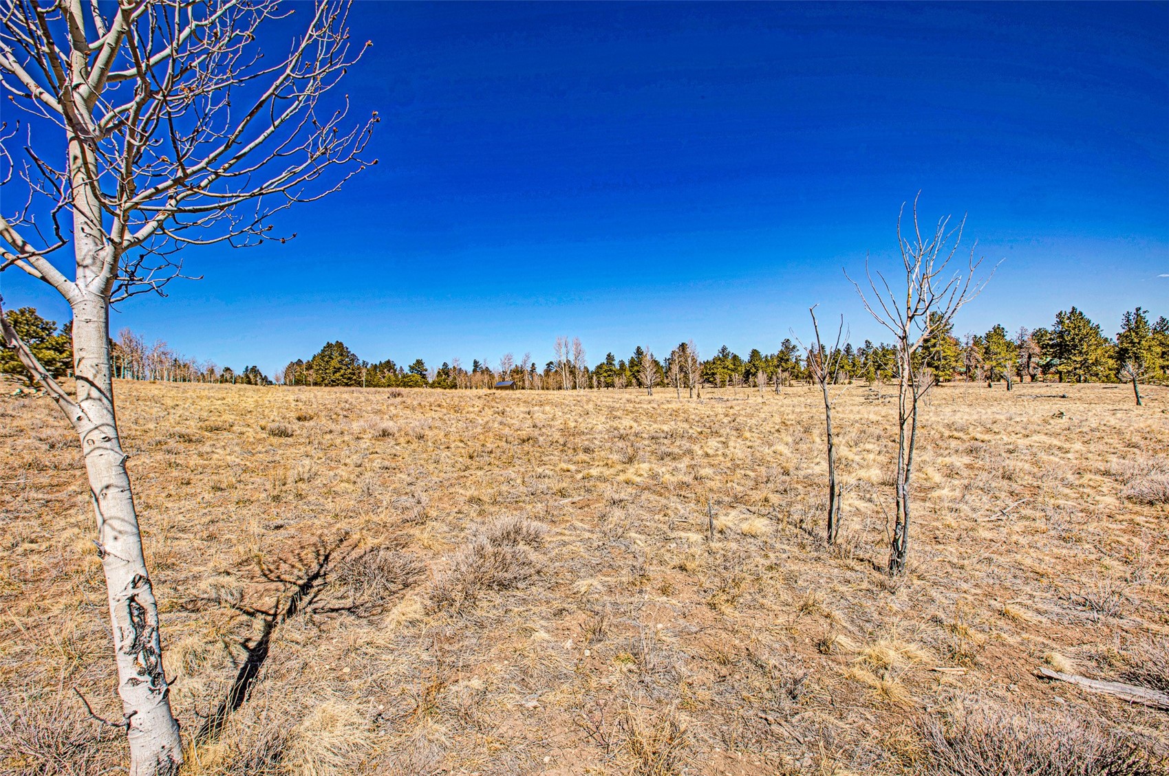 1250 Kaufman Road Hartsel, CO 80449 - Photo 6 of 25 a view of ocean view with a building in the background
