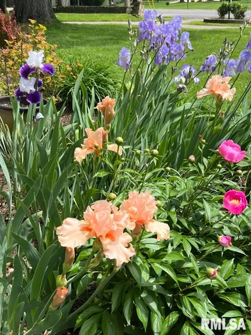 $225,000 | 1021 Fairfield Road, Mount Vernon, IL 62864