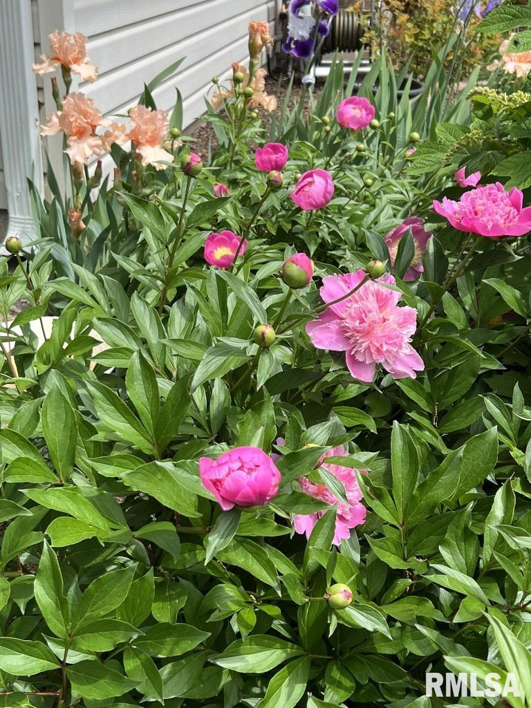 1021 Fairfield Road Mount Vernon, IL 62864 - Photo 63 of 65