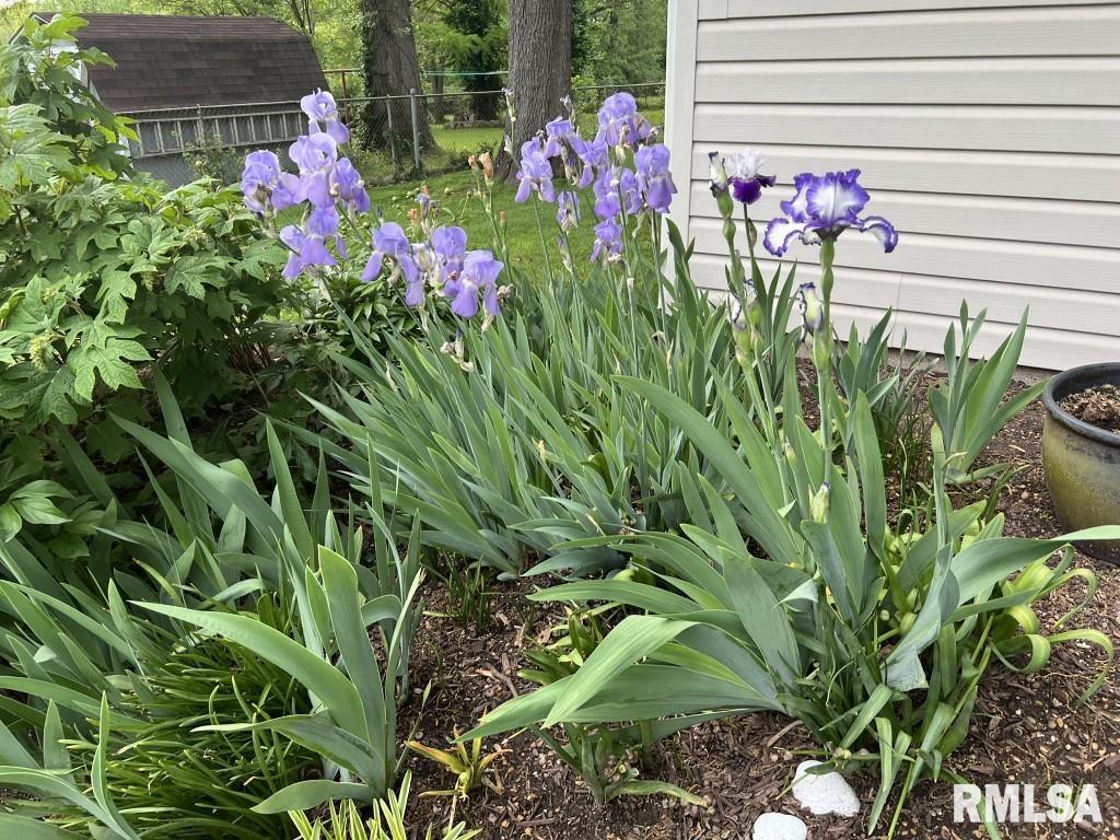 1021 Fairfield Road Mount Vernon, IL 62864 - Photo 64 of 65