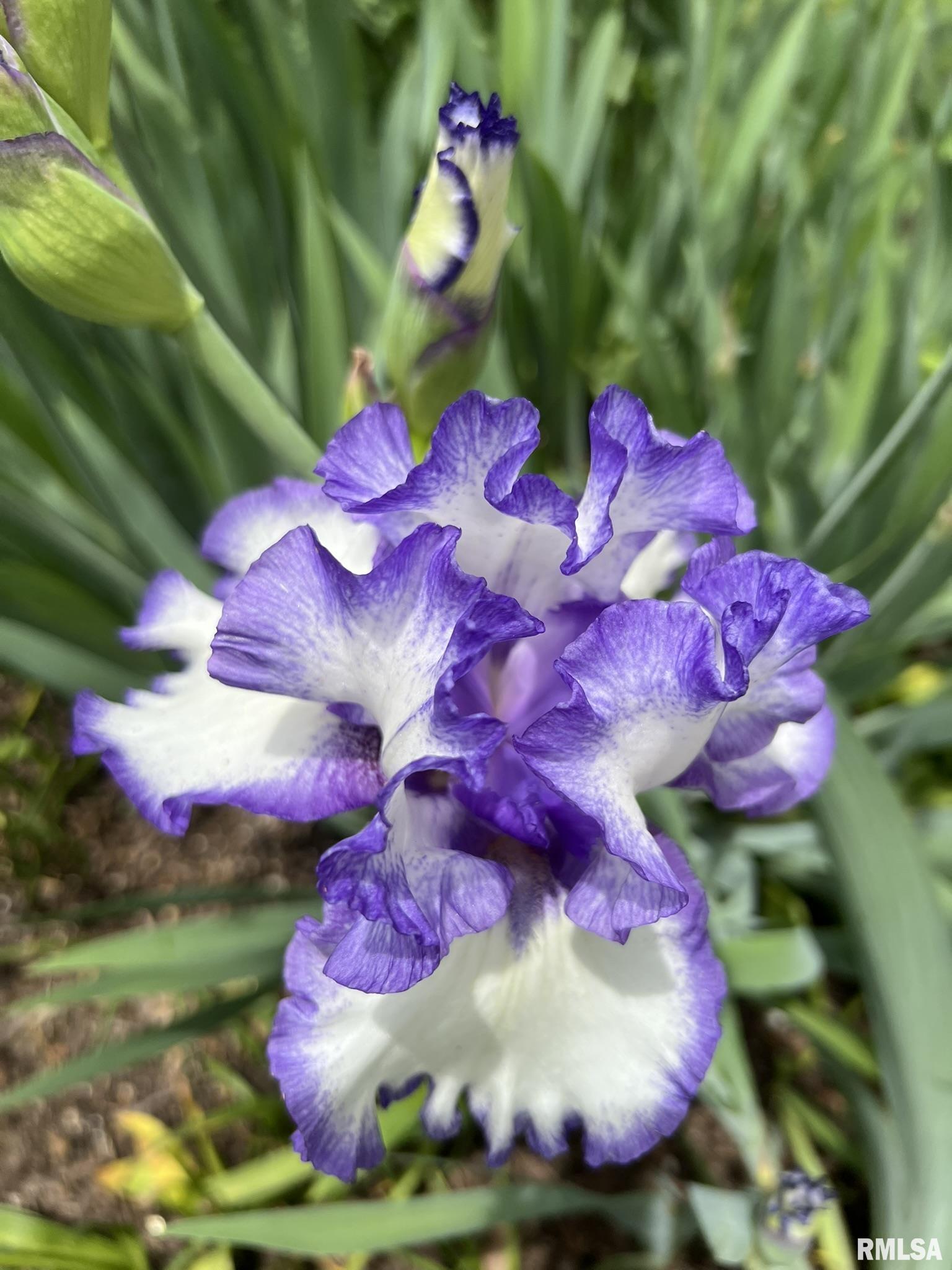 1021 Fairfield Road Mount Vernon, IL 62864 - Photo 65 of 65