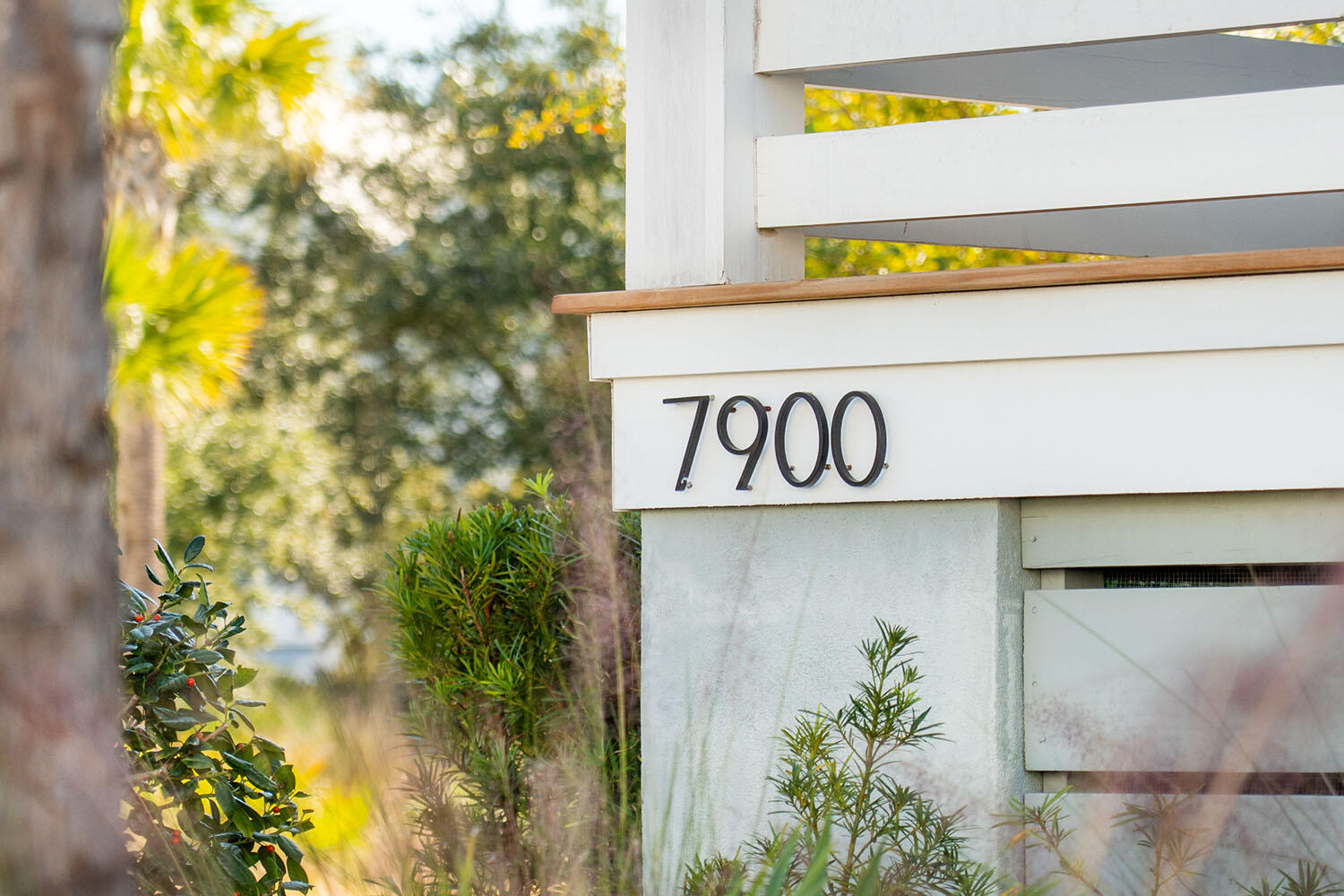 7900 Flagship Lane Johns Island, SC 29455 - Photo 4 of 61 7900FlagshipLn-KeenEyeMarketing-006