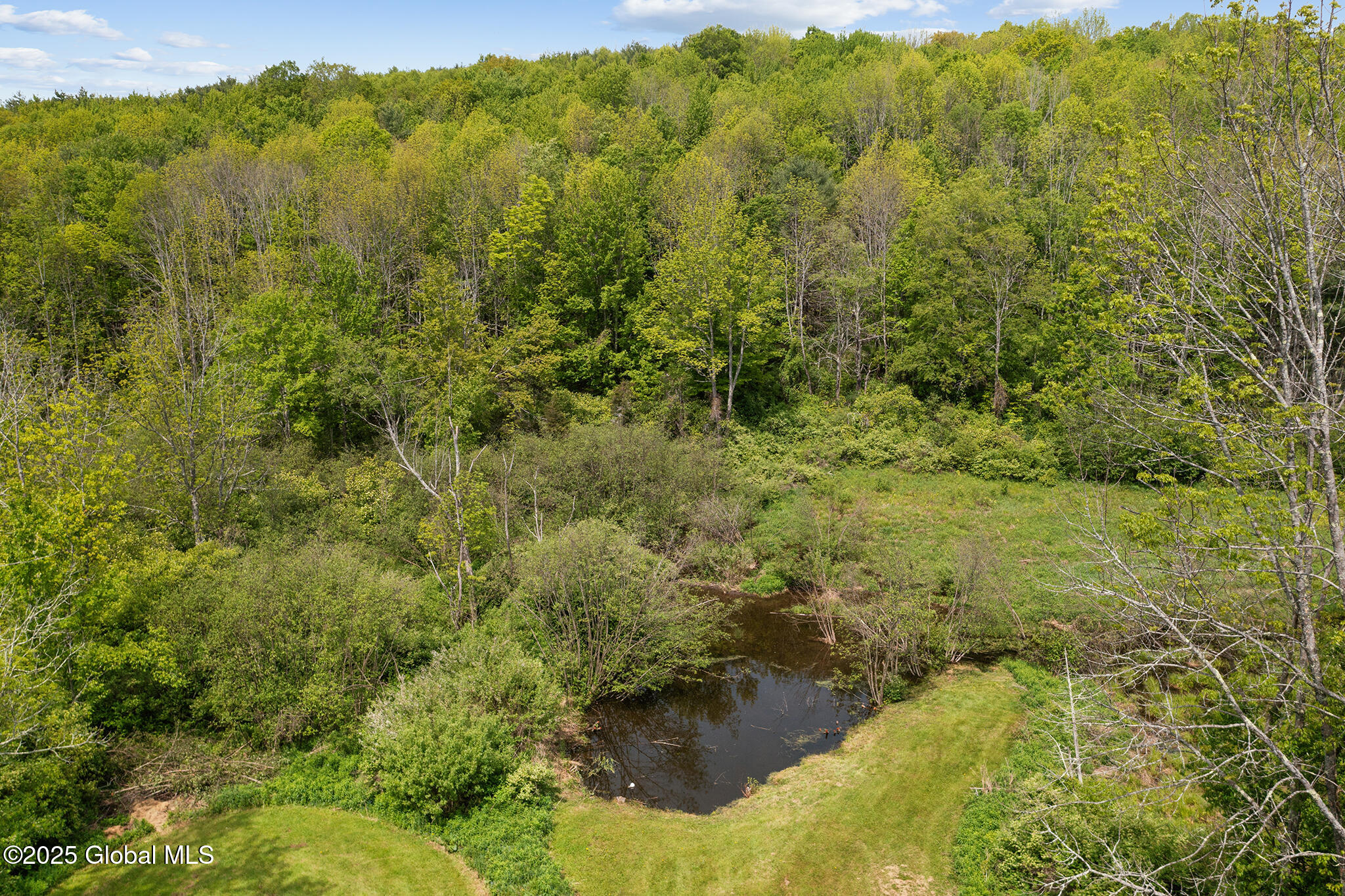 279 Maybie Road Gilboa, NY 12076 - Photo 29 of 31 FS_LT_052825_0027 mls