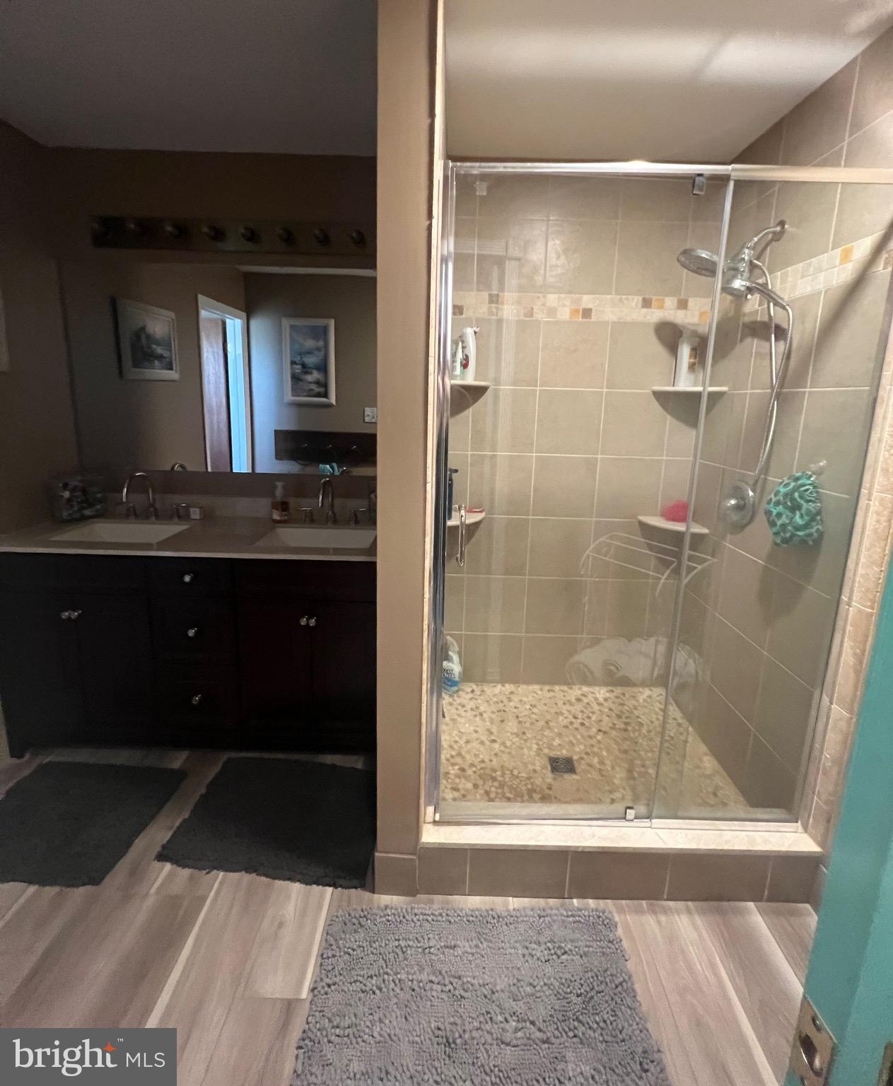 1191 Conowingo Road Rising Sun, MD 21911 - Photo 23 of 48 Primary Bathroom