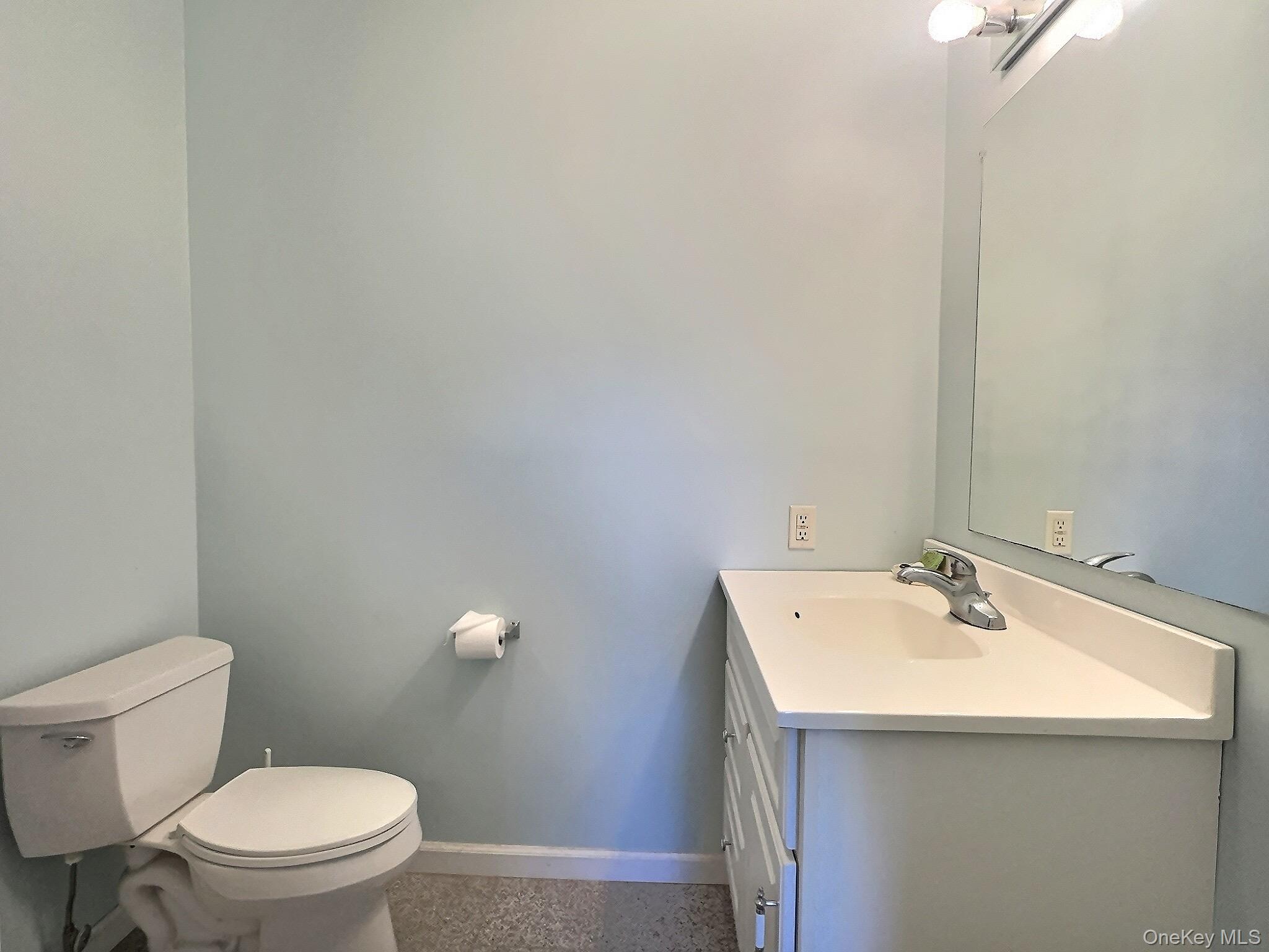 118 Scenic Ridge Drive Brewster, NY 10509 - Photo 30 of 50 a bathroom with a sink a toilet and a mirror