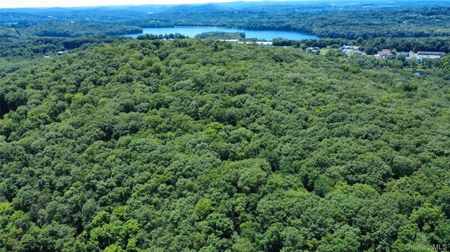 an aerial view of a house with a lush green forest