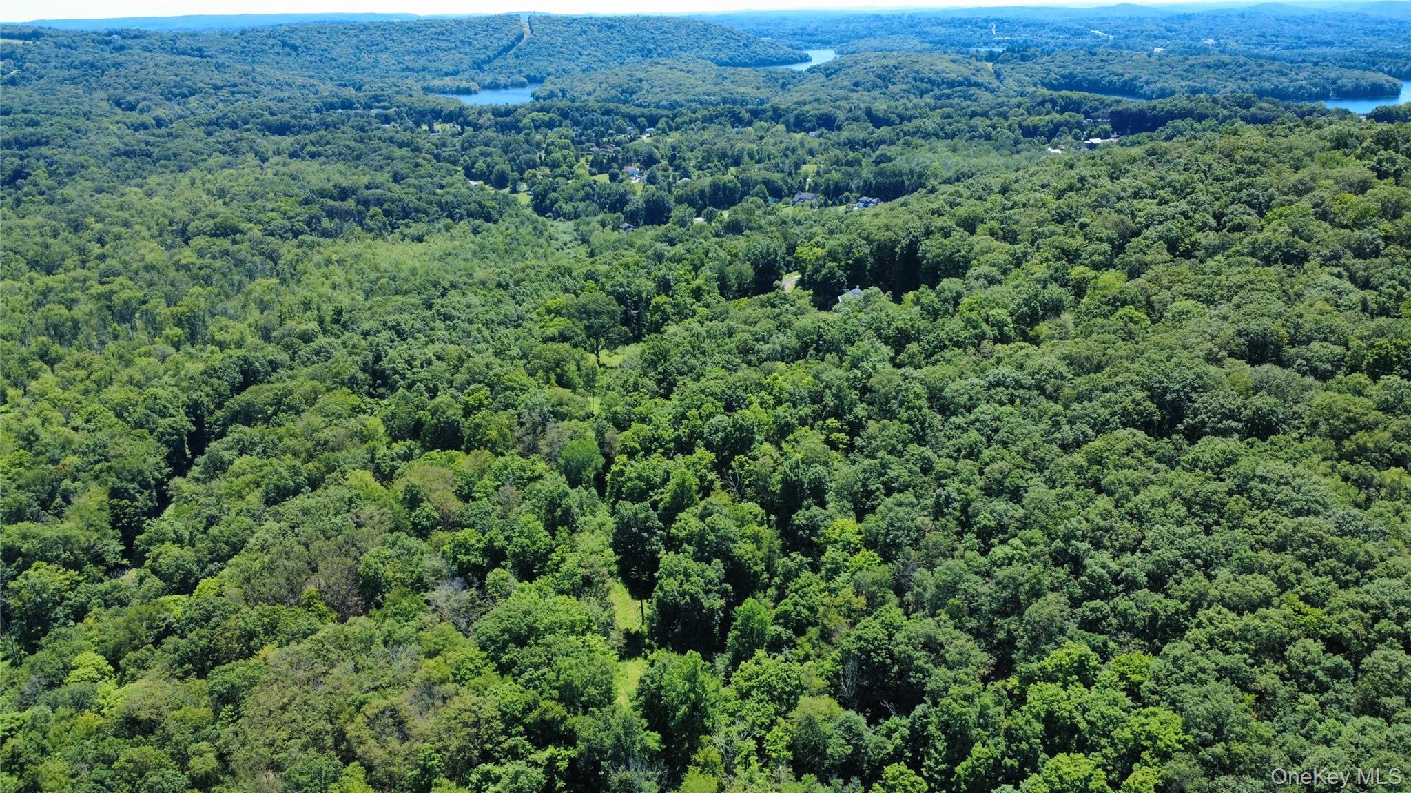 118 Scenic Ridge Drive Brewster, NY 10509 - Photo 46 of 50 an aerial view of a house with a lush green forest