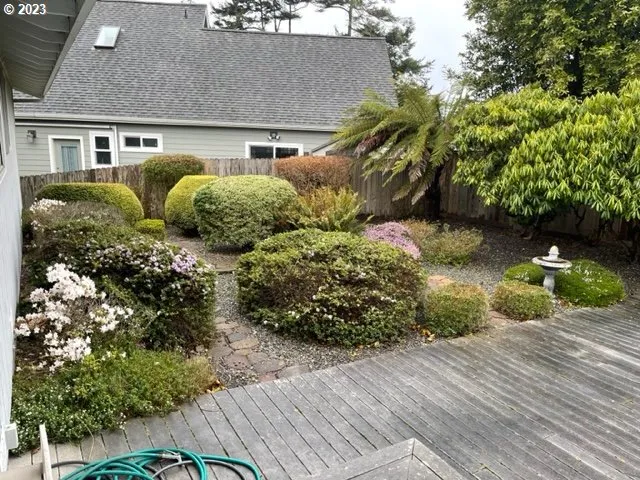 a view of a backyard