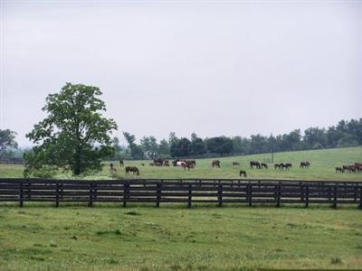 1620 Ferguson Road Lexington, KY 40511 - Photo 3 of 16 Photo 3