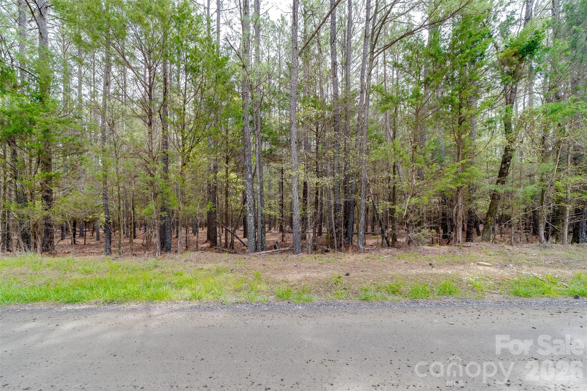 0 Sandlapper Drive, Unit B York, SC 29745 - Photo 2 of 5 a view of a park with large trees