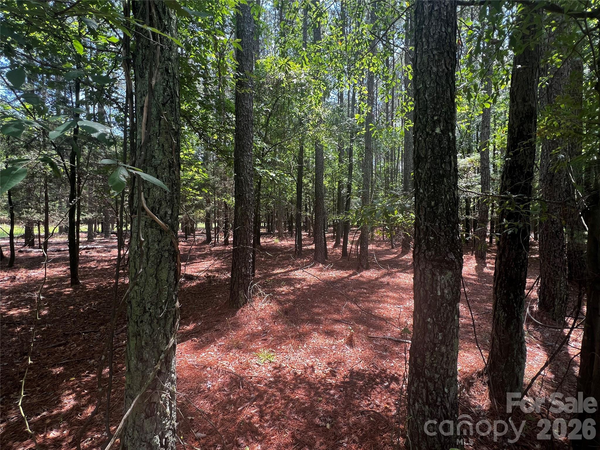 0 Sandlapper Drive, Unit B York, SC 29745 - Photo 4 of 5 a view of outdoor space with lots of trees