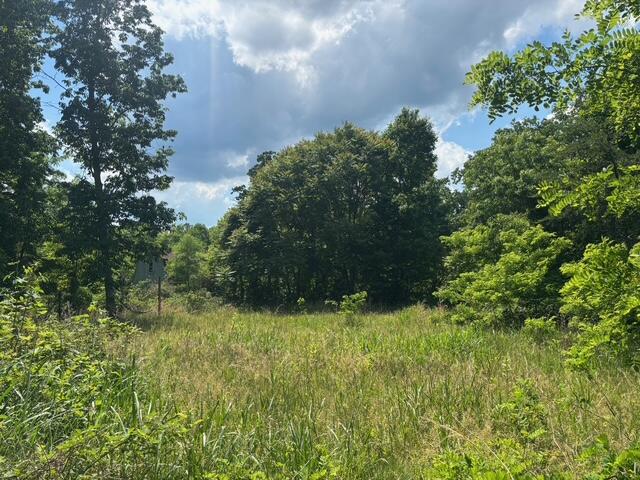 590 Black Mountain Road Dunlap, TN 37327 - Photo 18 of 20 IMG_6663