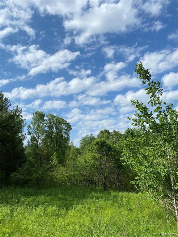 0 Kaiser Road Gregory, MI 48137 - Photo 28 of 29