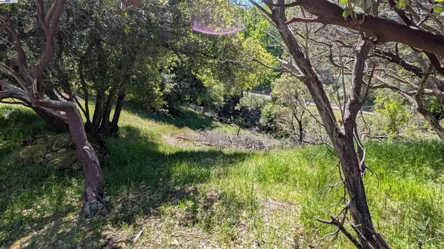 a view of a green yard