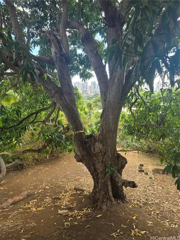 $1,850,000 | 2026 Ahualani Place, Unit A, Honolulu, HI 96822