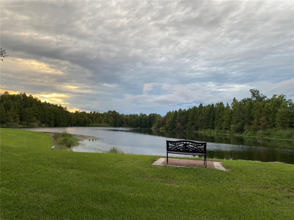 4400 Castlepalm Road Orlando, FL 32839 - Photo 28 of 38 a park view with a lake view