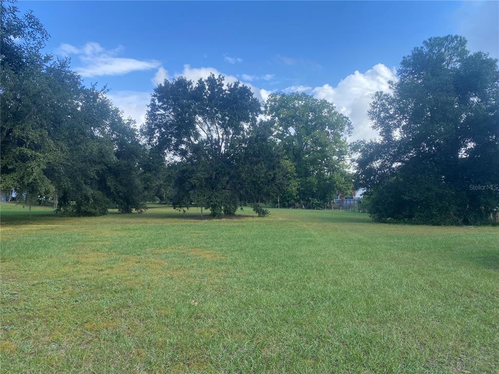 4400 Castlepalm Road Orlando, FL 32839 - Photo 29 of 38 a view of field with trees in the background