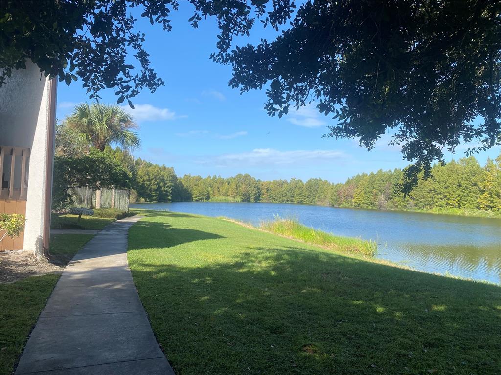 4400 Castlepalm Road Orlando, FL 32839 - Photo 34 of 38 a view of a lake with a big yard