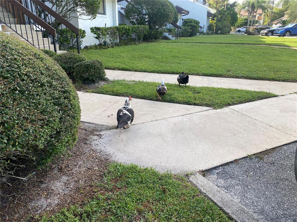 4400 Castlepalm Road Orlando, FL 32839 - Photo 35 of 38 a view of a park with a slide