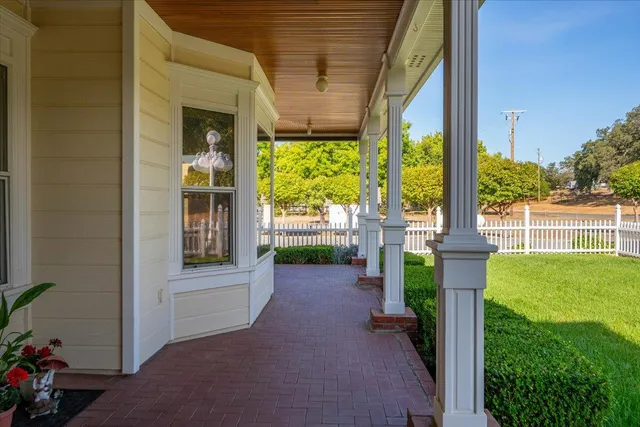 a view of a tree in a yard