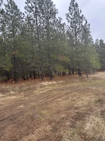 $355,000 | 18427 West Burnett Road, Nine Mile Falls, WA 99026