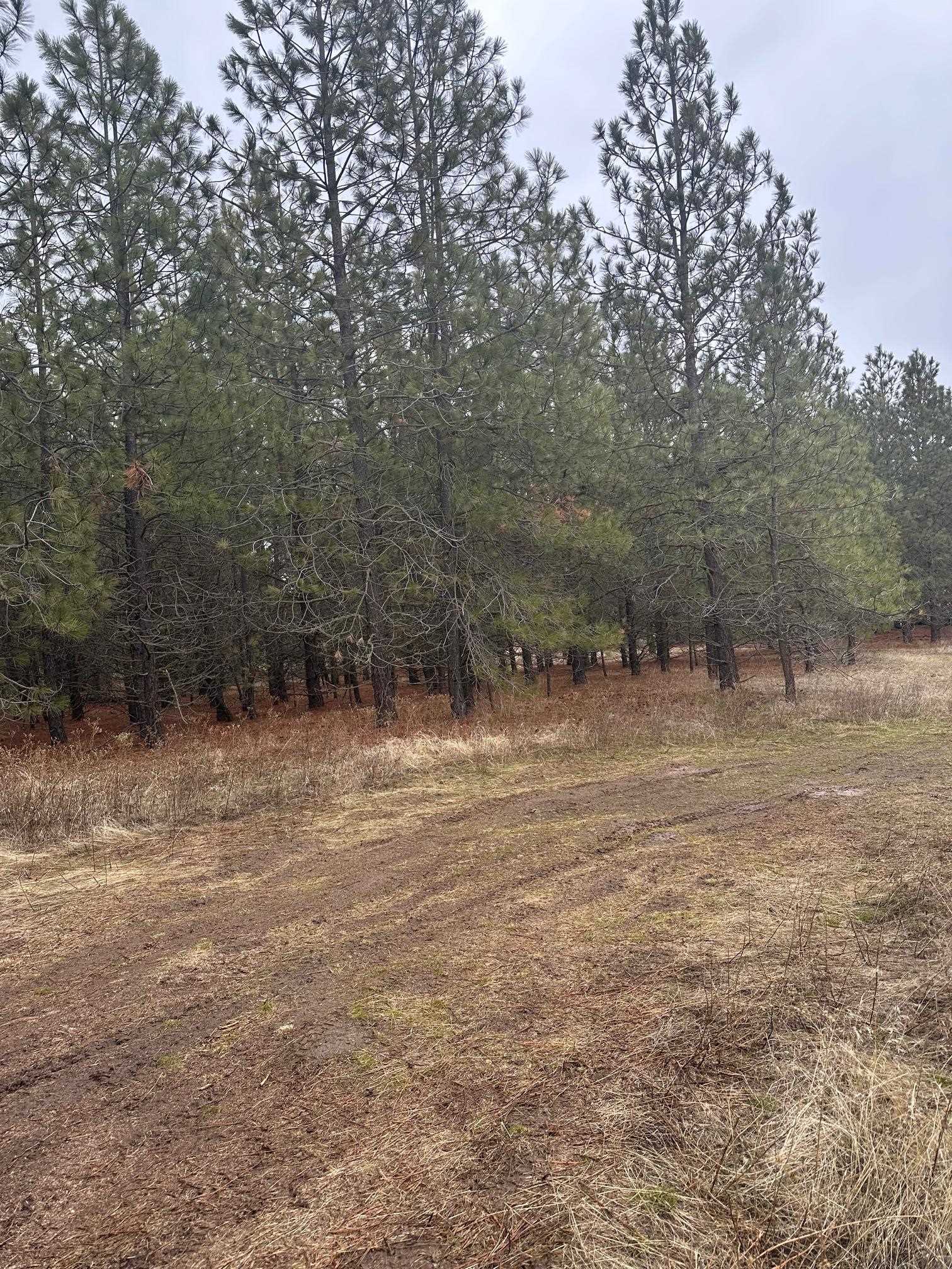18427 West Burnett Road Nine Mile Falls, WA 99026 - Photo 24 of 29