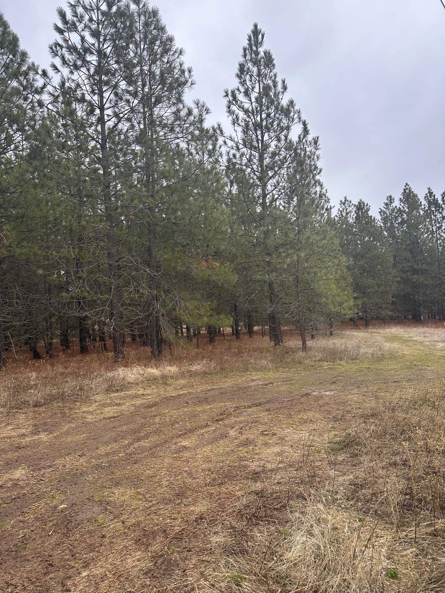 18427 West Burnett Road Nine Mile Falls, WA 99026 - Photo 25 of 29
